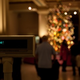 Illustration for article titled Photo Contest: Christmas Lights